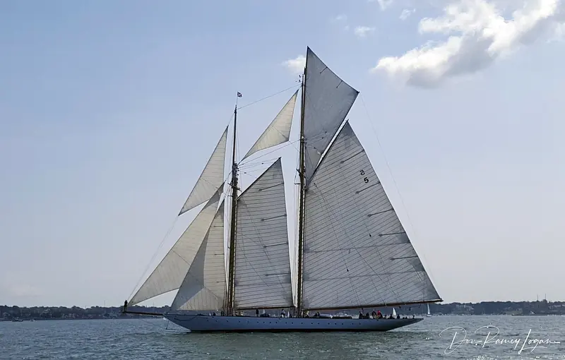 Eleonora, Hoek Design's 2000-built recreation of the 1910 Herreshoff schooner Westward, racing under full sail (number 5) at the Newport Classic Yacht Regatta - the office's other signature line of work alongside its J-Class restorations.