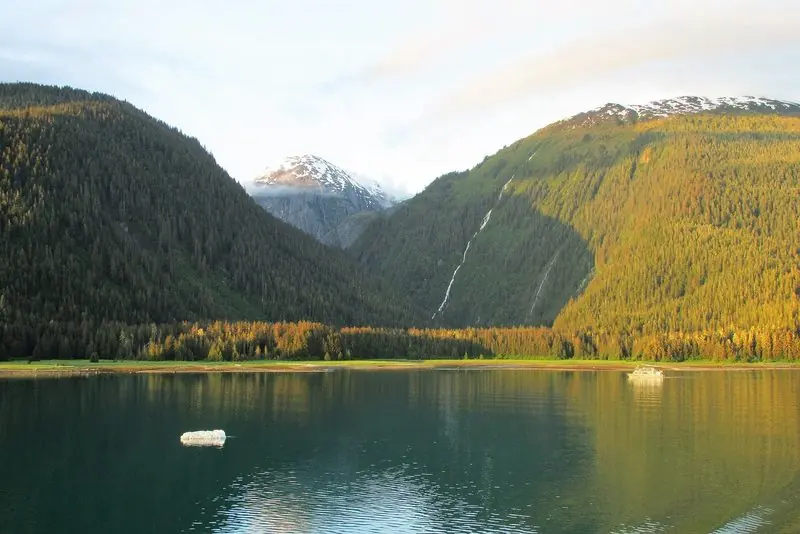 Evening light warms the timber on both sides of Endicott Arm, where a small vessel runs under the falls and a lump of ice drifts by.