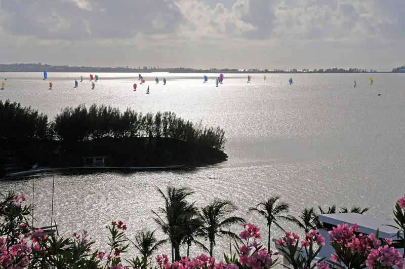 Small keelboats racing under spinnaker on Hamilton Harbour, part of the evening dinghy racing that is a fixture of Bermuda's sailing calendar.
