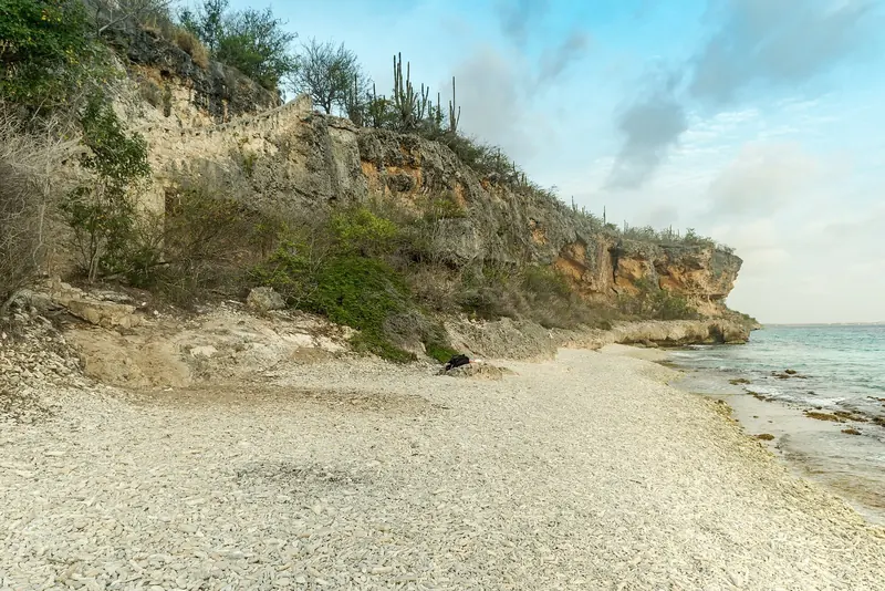 The 1000 Steps dive site on Bonaire, one of the island's best known shore entries into the marine park.