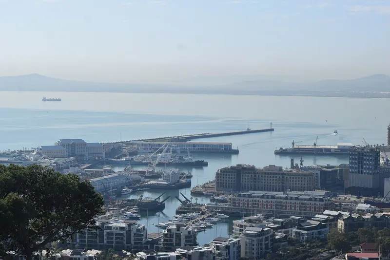 The Waterfront marina, seen from above, packs moorings, breakwaters and a working harbour into one stretch of shore.
