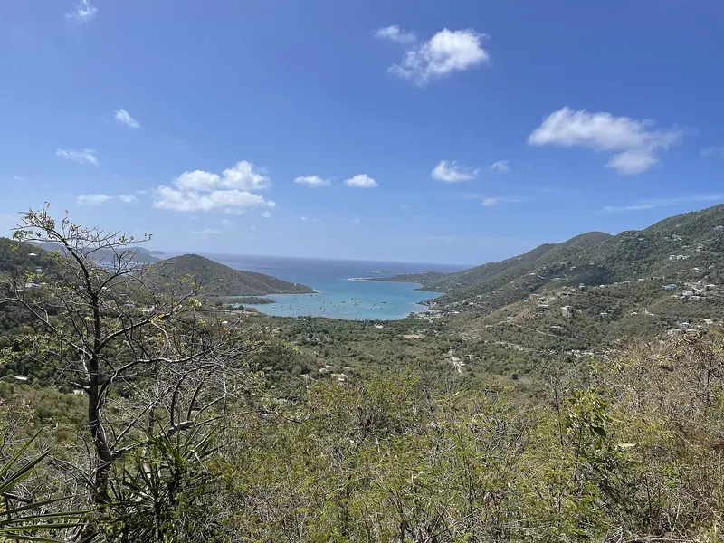 Coral Bay's anchorage on St. John, seen from the ridge road above it, is the harbor the Summer's End Marina would sit on the southwest shore of.