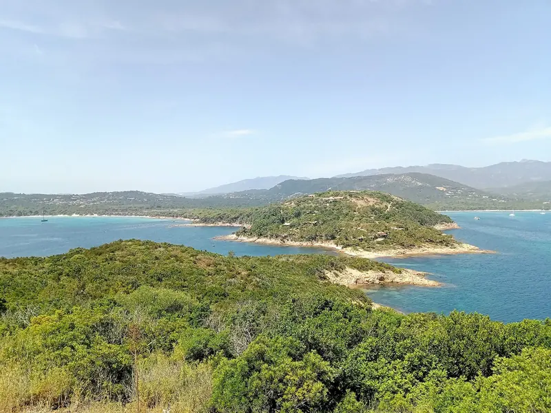 Capu di Fora on the south east coast, seen from the tower at Pinarellu, with wooded headlands running down to pale coves.