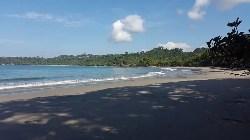 Espadilla Sur beach inside Manuel Antonio National Park, backed by rainforest that runs down almost to the waterline.