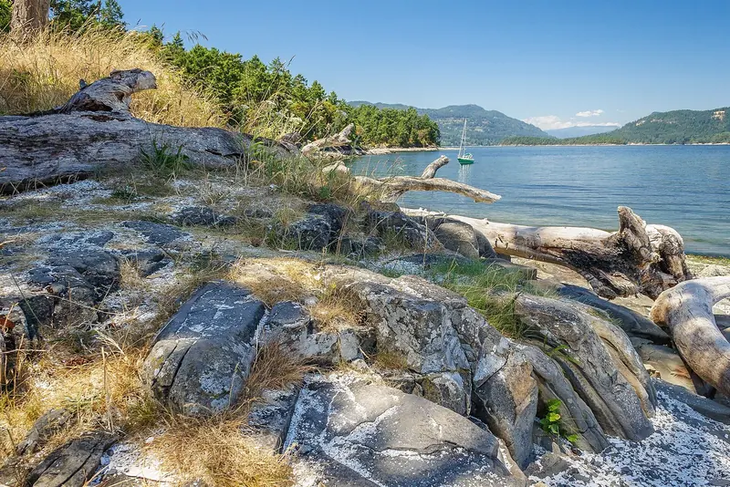 A yacht at anchor off Portland Island, part of the Gulf Islands National Park Reserve, seen from the driftwood-strewn shore.