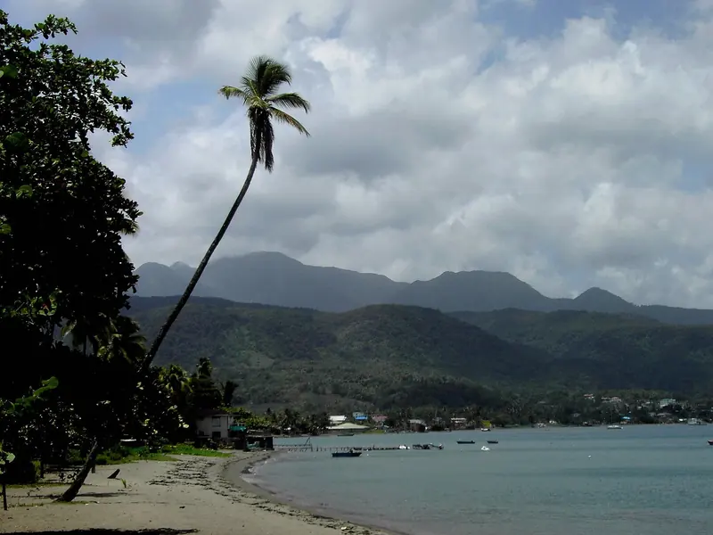 A coconut palm leans out over the sand at Prince Rupert Bay, near Portsmouth on Dominica's sheltered northwest coast.