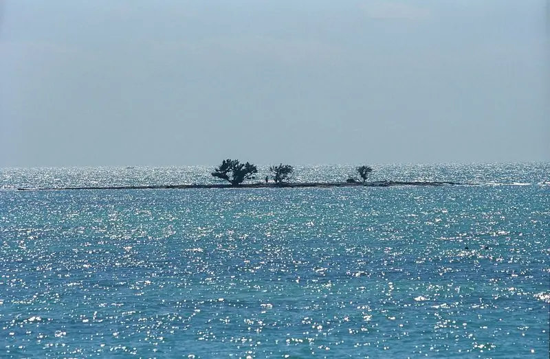 Trees mark a low mangrove key that barely breaks the horizon, with open water all around it.