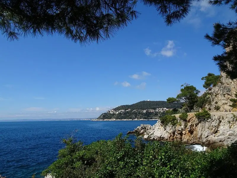 The coast east of Nice through the pines, the run towards Monaco.