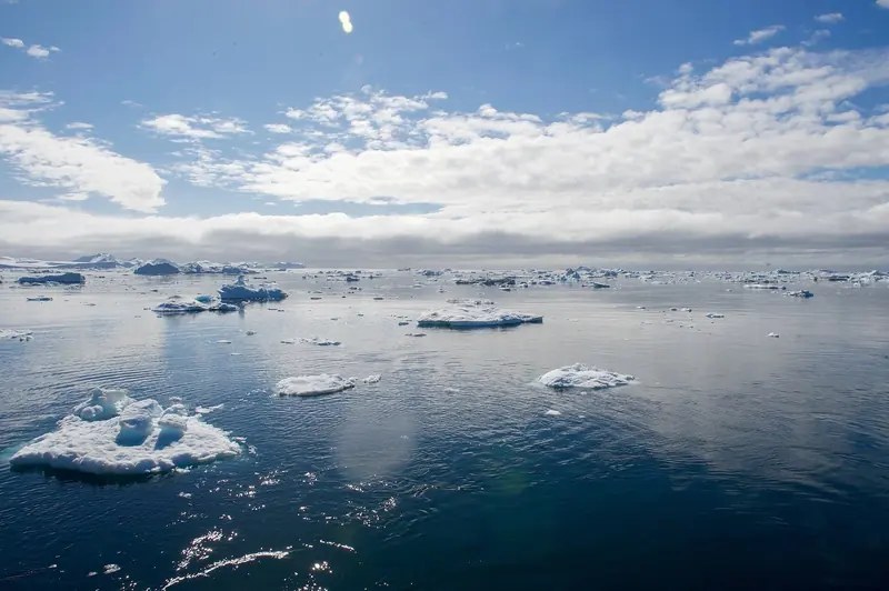 Bergy bits and growlers scattered across Disko Bay off the port of Ilulissat, the low-lying fragments that are harder to see on radar than the icebergs themselves.