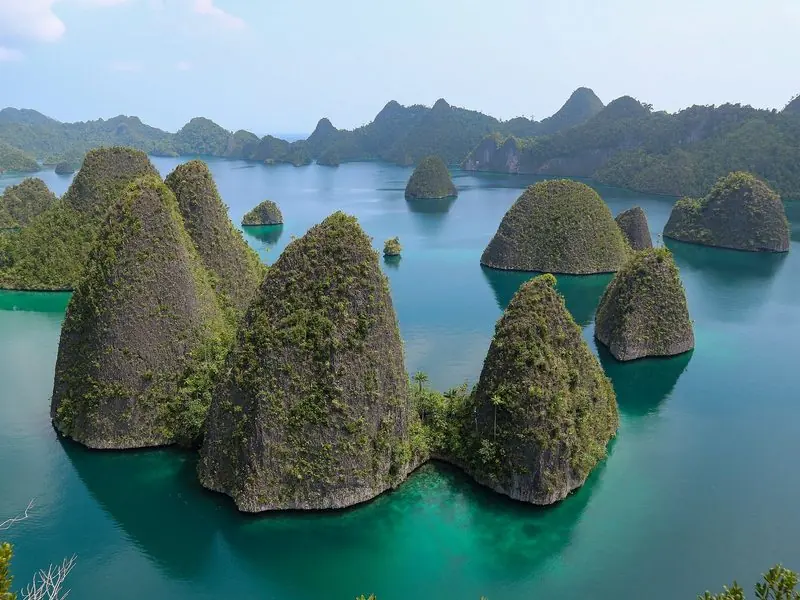 Limestone cones stand in green water at Wayag, the bank between them turning pale where the coral comes up.