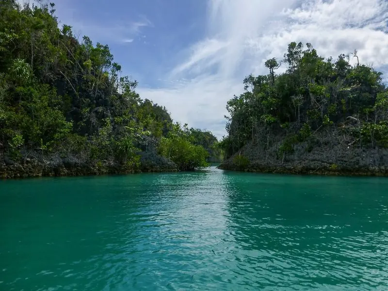 At sea level the channel narrows between two wooded walls, the water clear and green right up to the rock.