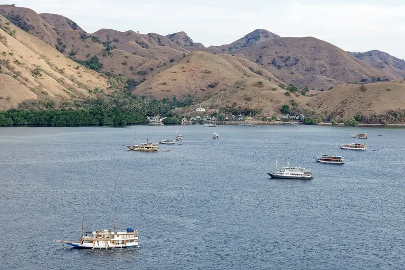 Liveaboards and local boats anchored off a fishing village on the Flores coast, seen from the viewpoint trail on Kelor Island.
