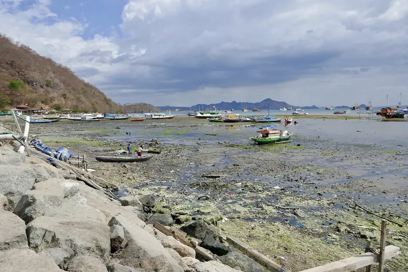 The tidal foreshore at Labuan Bajo's older harbour front, where local fishing boats sit out on the mud at low water below the town.