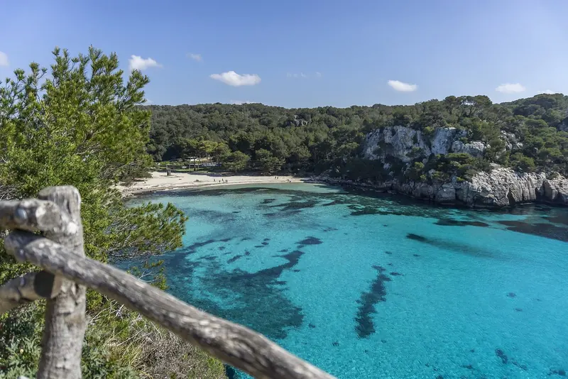 Cala Macarella's turquoise water and pale sand, reached only by boat or on foot through the pine woods above the cliff.