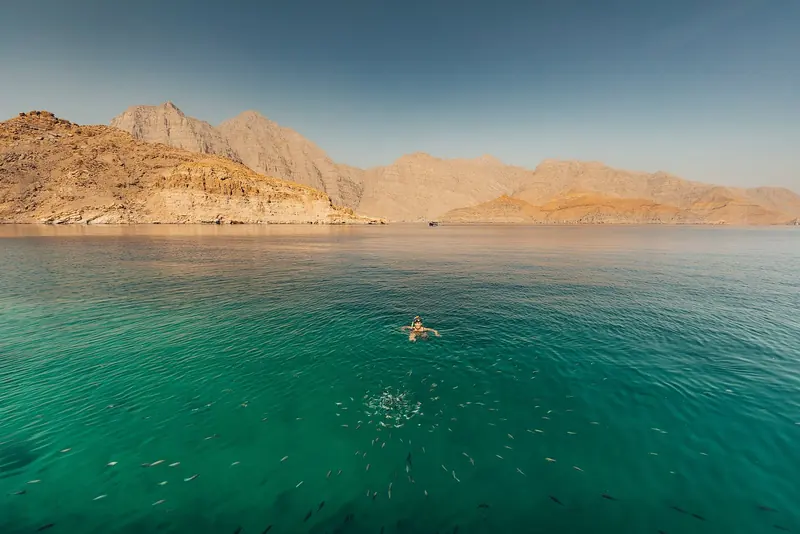 Clear water and fish under the mountains of the peninsula, sixty to eighty nautical miles from the built marinas of Dubai.