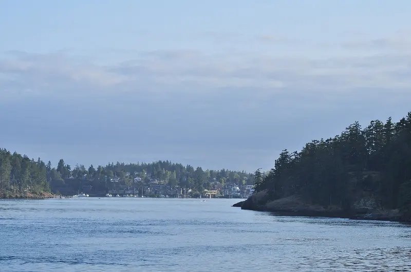 Friday Harbor seen from the water on the approach, forested shoreline typical of the whole archipelago.