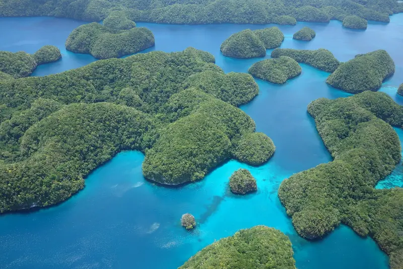 The Rock Islands from the air: 300-plus mushroom-shaped limestone islets, undercut at the waterline by bioerosion, separated by channels of water that shade from deep blue to reef-shallow turquoise.