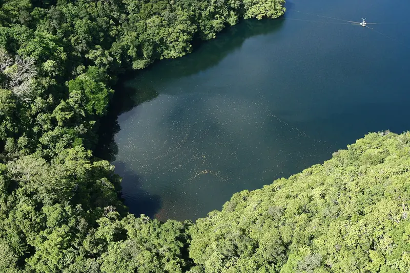 Jellyfish Lake on Eil Malk, seen from above at the eastern end where its population of golden jellyfish, stingless because they evolved with no predators, gathers through the morning.