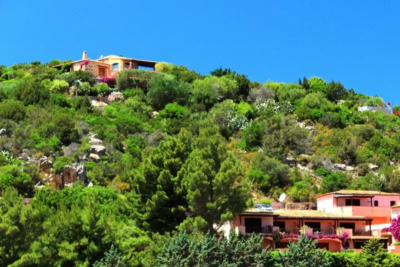 Villas among the pines above the water, the way the coast was planned.