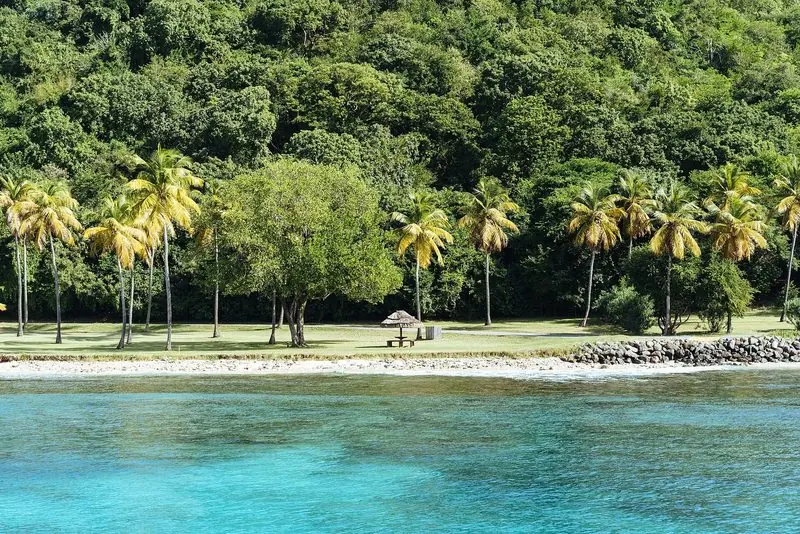Mown lawn, palms and one thatched shelter come down to a narrow beach on Mustique, seen from the water with nobody ashore.