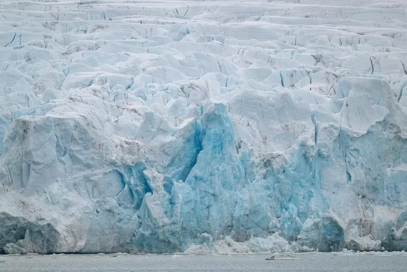 The face of a glacier where it meets the sea, the blue ice that calves the growlers which are the real hazard to a hull up here.