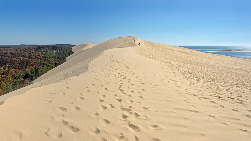 Footprints trail across the crest of the Dune du Pilat, the tallest sand dune in Europe, with the pine forest and the Atlantic beyond.