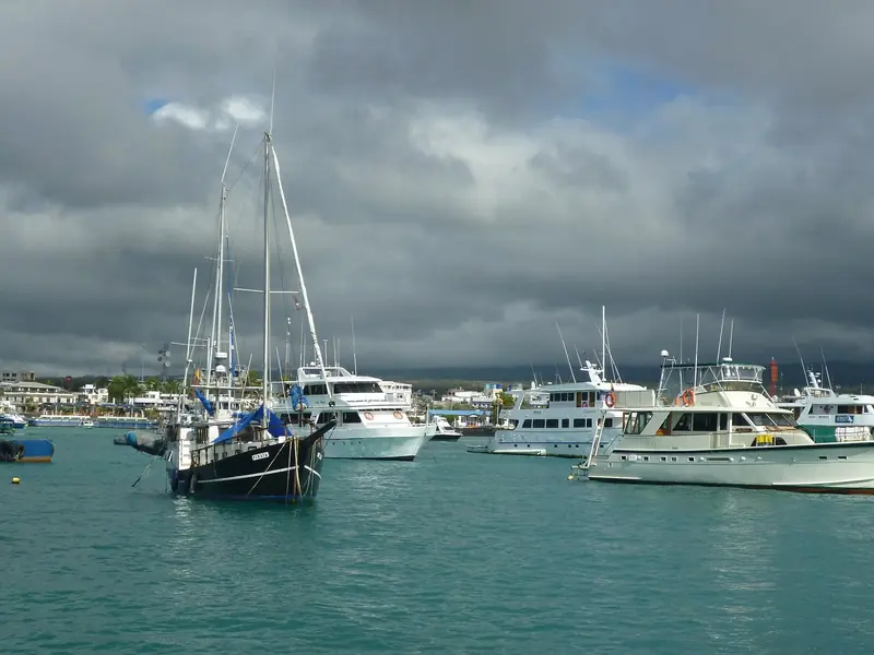 Motor yachts and sailboats anchored off Puerto Ayora, Santa Cruz, the busiest of the archipelago's four ports of entry.