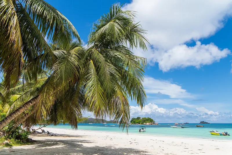 Palms leaning over the sand with boats offshore, twenty minutes by road from a long haul airport on Mahe.