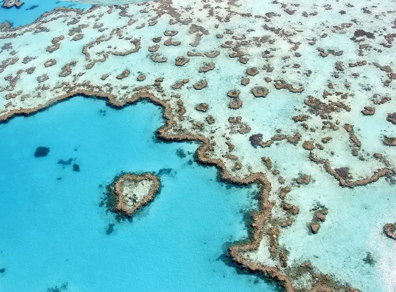 Reef structures from the air on the outer barrier, 35 to 40 miles beyond the islands and a committed day trip in settled weather.