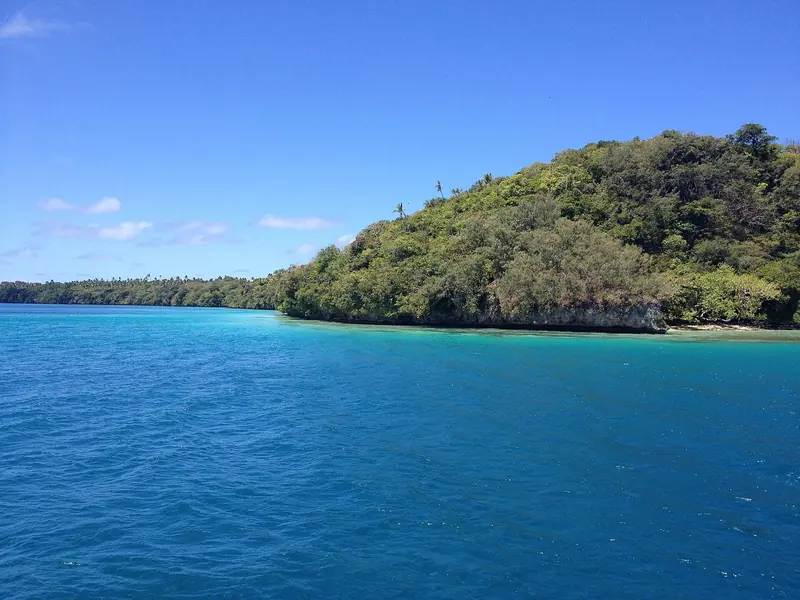 A cliff of native bush drops straight into clear water on the approach to Neiafu, the calm, close-set anchorages that set Vava'u apart from an exposed Pacific atoll.