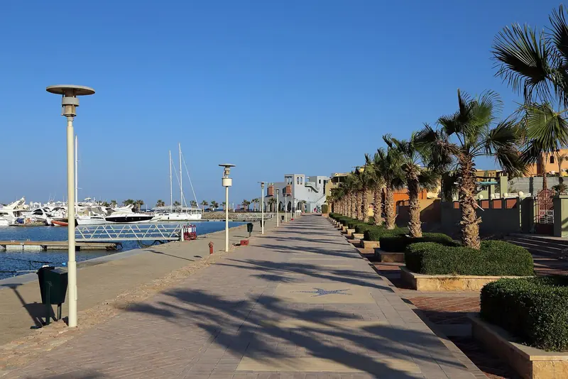 The palm-lined promenade along the North Basin pontoons, sailboats and motor yachts moored two and three deep.