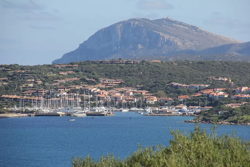 Porto Rotondo's own harbour, about ten minutes from Portisco by tender or by road and the closest comparison for what a full Costa Smeralda marina looks like with the masts in.