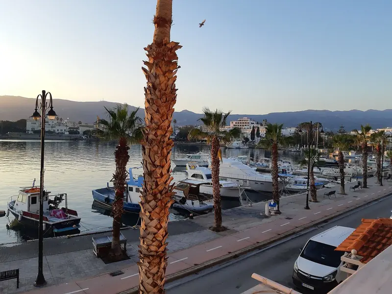 Early morning on Kos's palm-lined harbour promenade, with motor yachts and local fishing boats sharing the water.