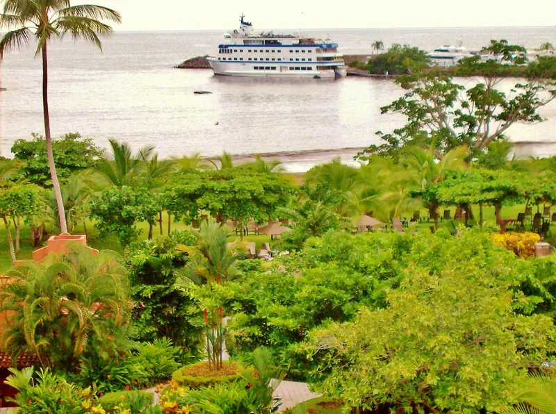 A tour vessel moored in Herradura Bay with a motor yacht visible at the marina breakwater beyond, seen past the resort's palm-shaded lawns and loungers