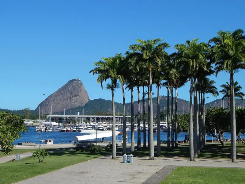 Sugarloaf Mountain framed by the royal palms of Parque do Flamengo, with Marina da Gloria's docks and moored sailboats laid out below on the shore of Guanabara Bay.
