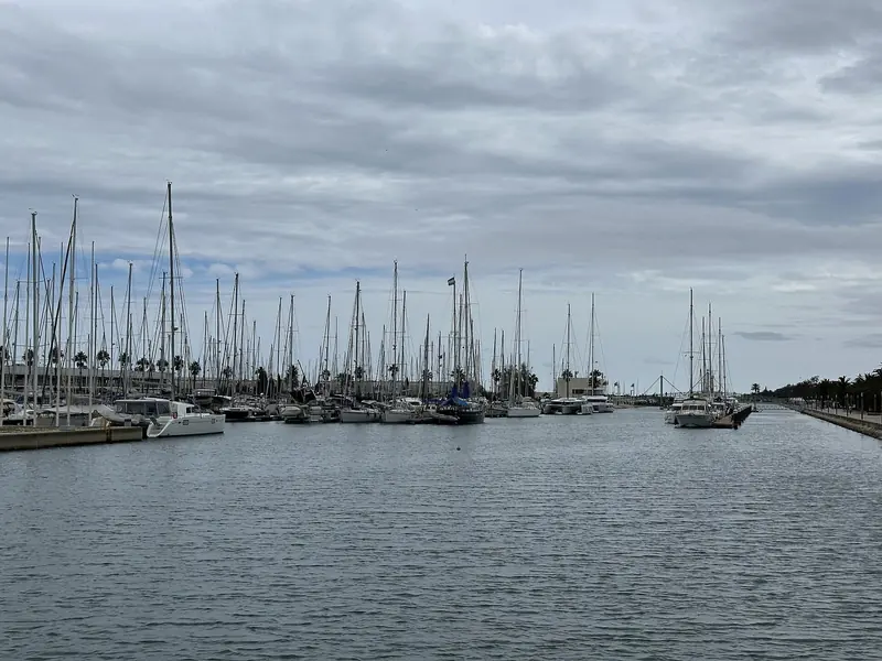 Sailboats filling the berths at Marina de Lagos on the Algarve coast.