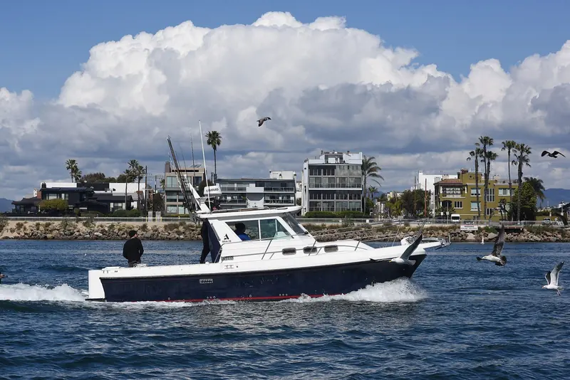 A fishing boat under way in the harbour. The County records this as the worst copper pollution of any marina in California, from decades of antifouling paint on hulls like this one.