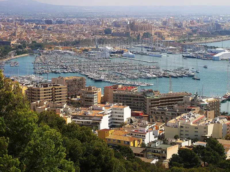 Palma's whole harbour reads at once from the Bellver hill, pontoon after pontoon of masts inside the mole with the cathedral standing over the town behind.