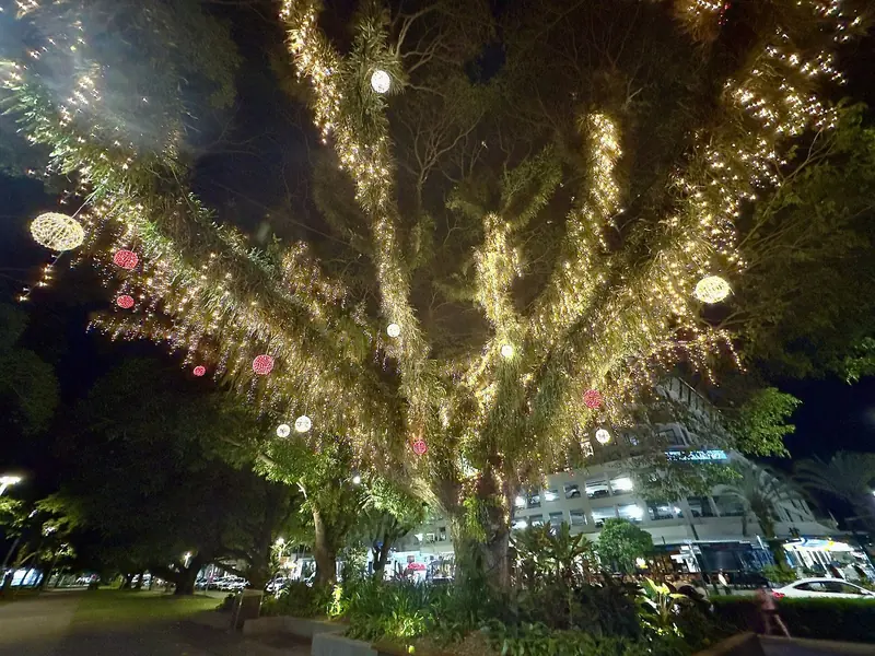 The Esplanade at night. Cairns runs on the Reef trade all year and it does not close out of season.