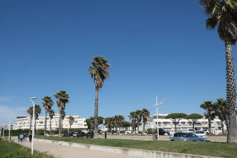The palm-lined promenade along Port Camargue, with the marina's low white apartment blocks behind.