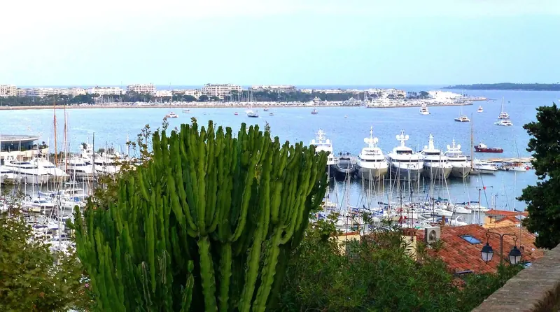 Cannes from the hill above the port, with the roadstead beyond the moles where yachts anchor when the berths are gone.