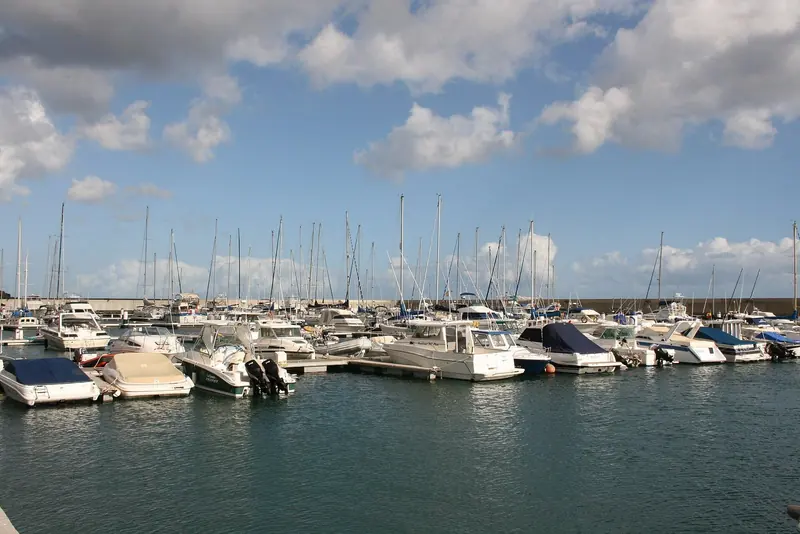 The basin from the quay, masts packed along the Calle de los Pantalanes.