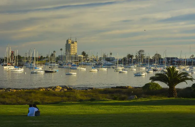 Hundreds of sailboats ride at anchor off the Yacht Club Uruguayo's own tower, seen from the park above the bay.