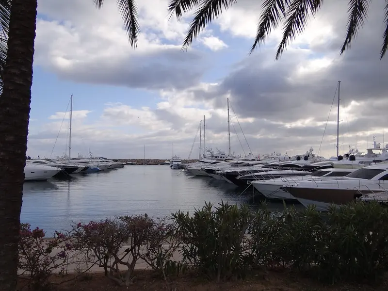 Motor yachts on the pontoons. The bulk of the marina is boats in the 12 to 20 m range, and the big berths are a small, fought-over minority.