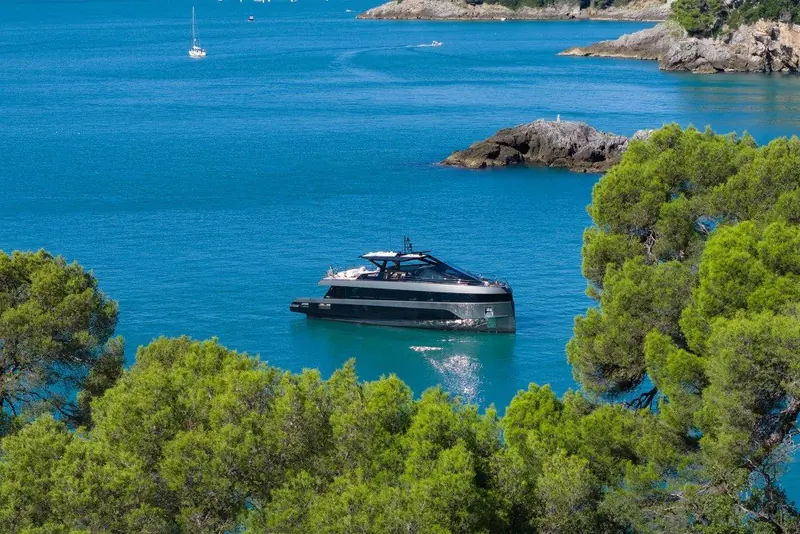At anchor in a pine-fringed cove, the hull's dark hull-side glazing and grey topsides read low and wide against the water.