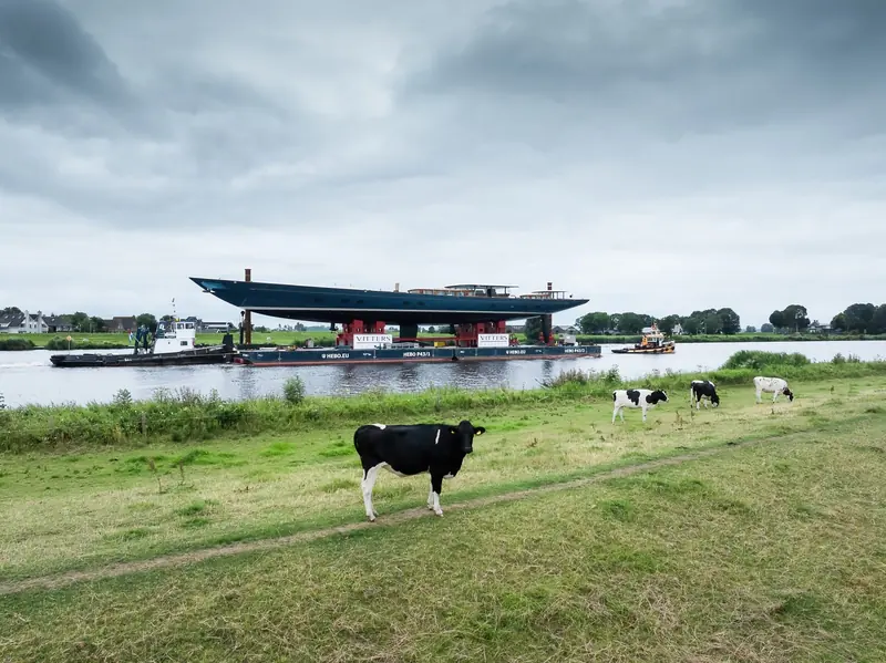 Under tow along the canal toward Harlingen, Dutch dairy cattle grazing on the dyke - the everyday backdrop to a launch Vripack's co-creative director called the studio's 'Perfect Storm'.