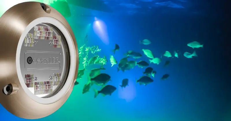 An Ocean LED thru-hull fixture lit underwater, drawing a school of fish. The Explore range is built for exactly this: light strong enough to draw marine life to a swim platform or a night dive.