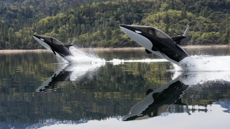 Two Seabreachers breach together on the same lake, mirrored in water so still it doubles their wake.