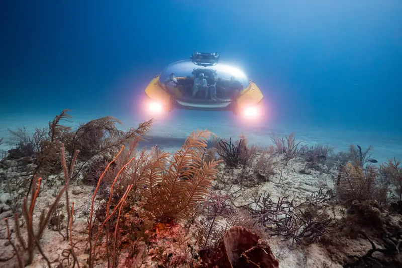 A Triton 3300/3 hovers over a Caribbean reef bed with passengers visible through the acrylic sphere, its twin bow floodlights lit against the blue water column.