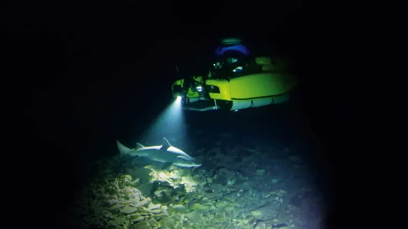 A Triton submersible's floodlight picks out a shark resting on the seabed during a night dive, the sub's hull and stern grille visible above the beam.
